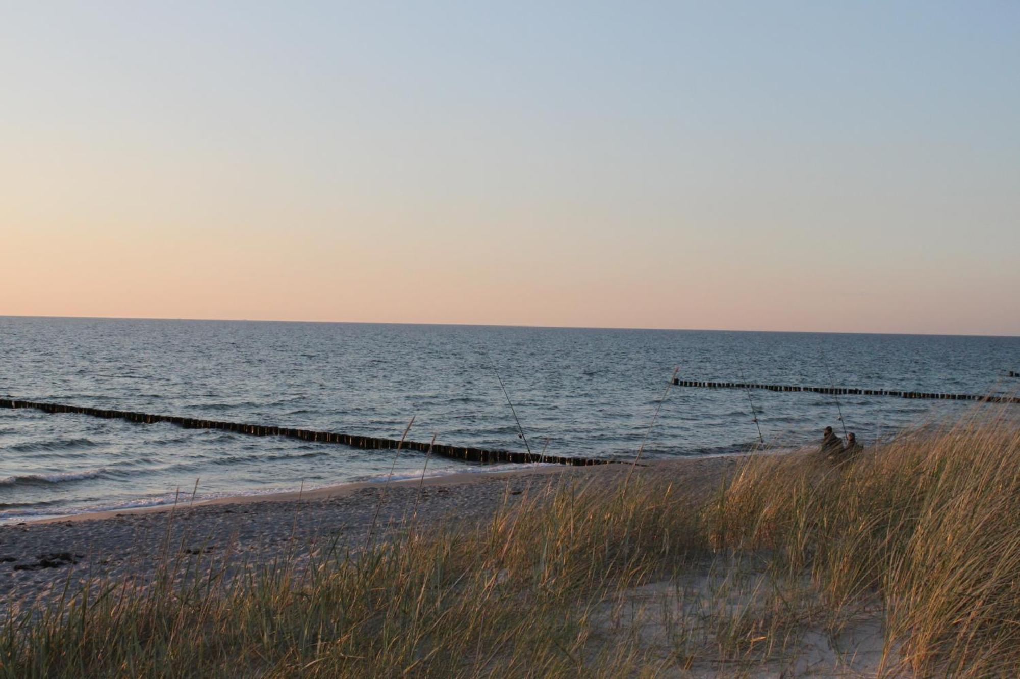 -"Strandhaus Friedrich"- Dierhagen Exterior foto