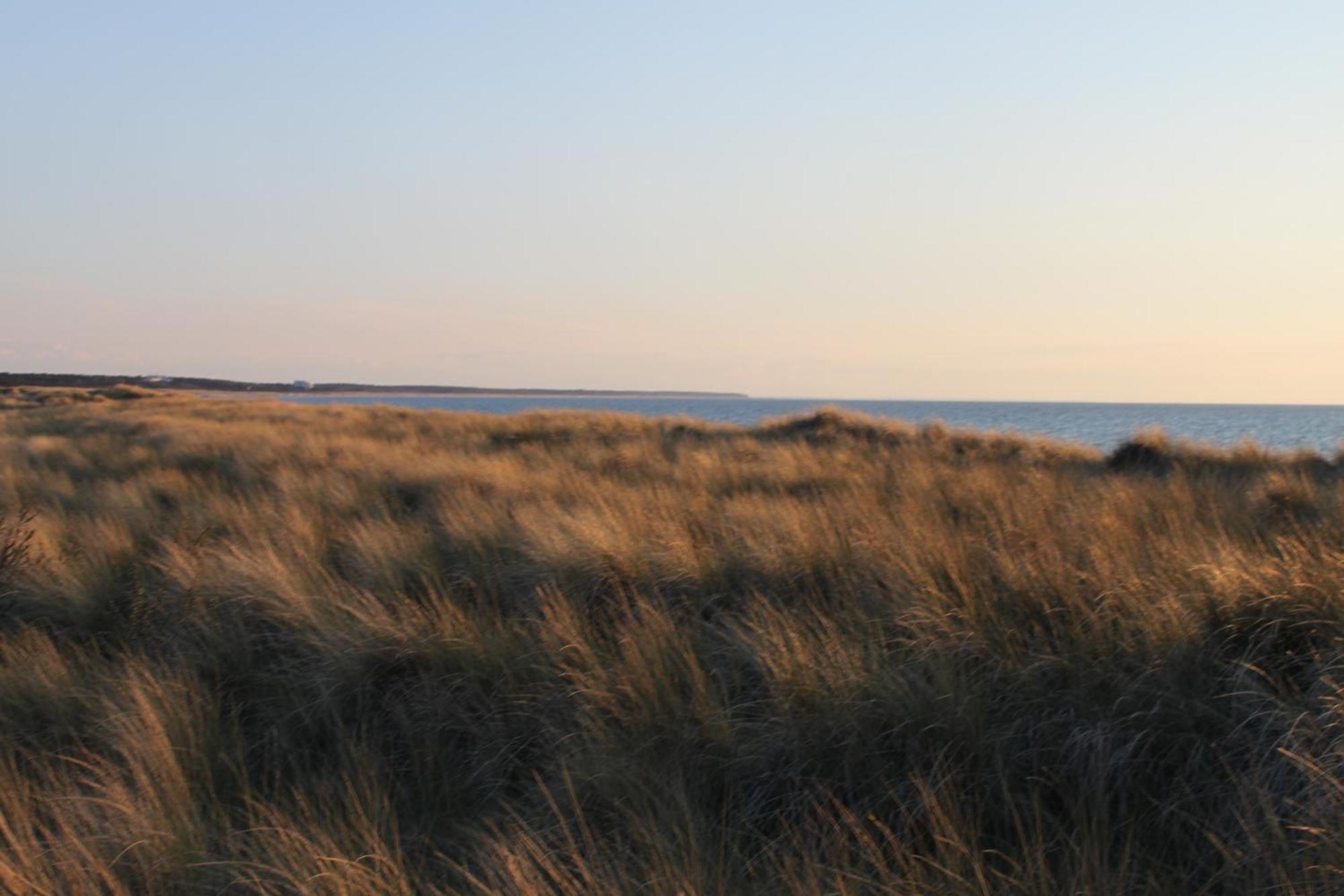 -"Strandhaus Friedrich"- Dierhagen Exterior foto